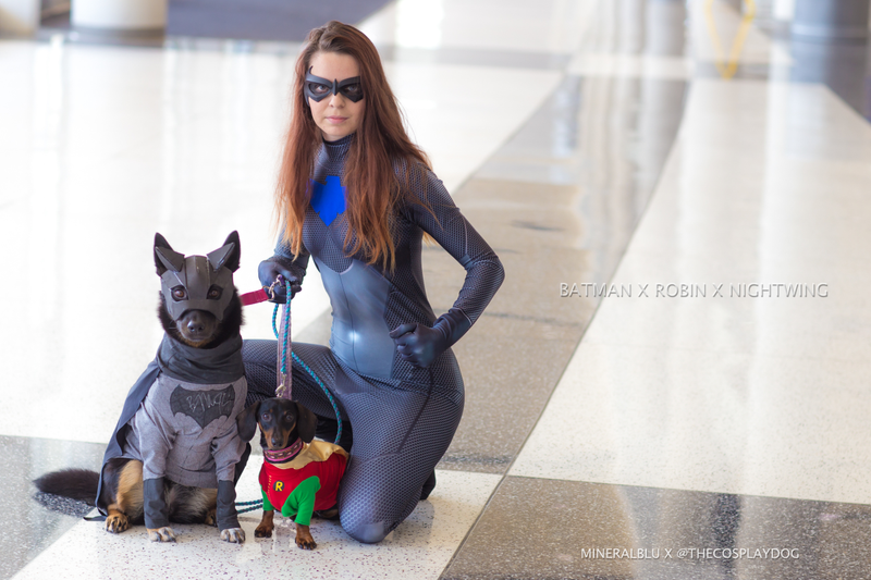 Cosplay by thecosplaydog